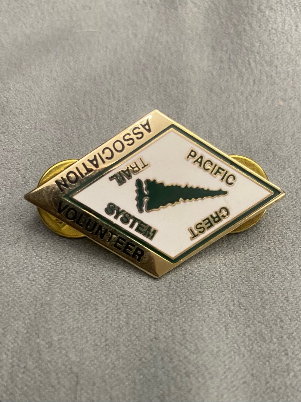Vintage Pacific Crest Trail System Association Volunteer Lapel Pin PCT Hiking